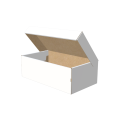 20x36x9 Cm Kendinden Kapaklı Ayakkabı Kutusu