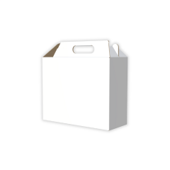 25x10x20 Cm Çanta Tipi İnternet ve Kargo Kutusu
